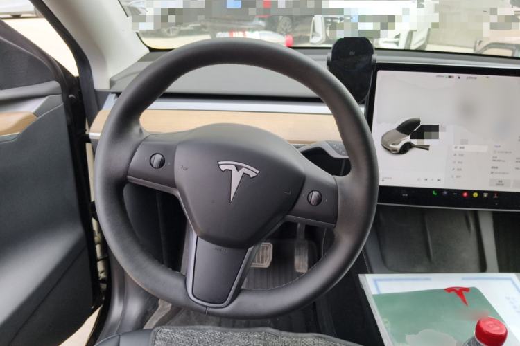 Used Tesla Model Y 2021 Standard Range Rear-Wheel Drive Version
