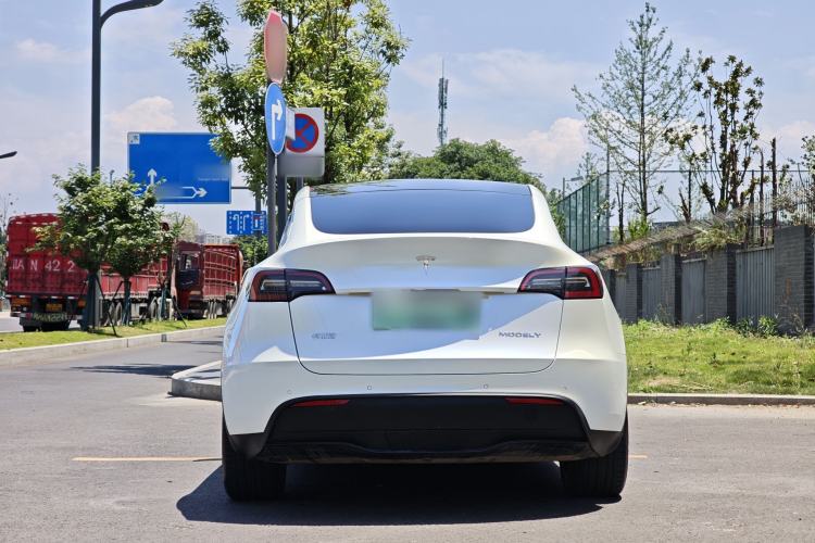 Used Tesla Model Y 2022 Revised Version Long-Range All-Wheel Drive
