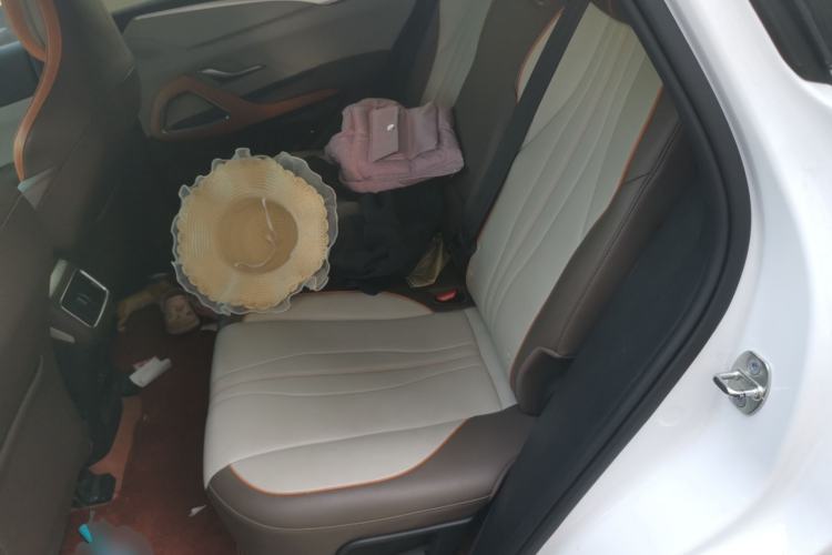 Used BYD Song Pro New Energy 2022 DM-i 51km Luxury Model Left Rear Seat