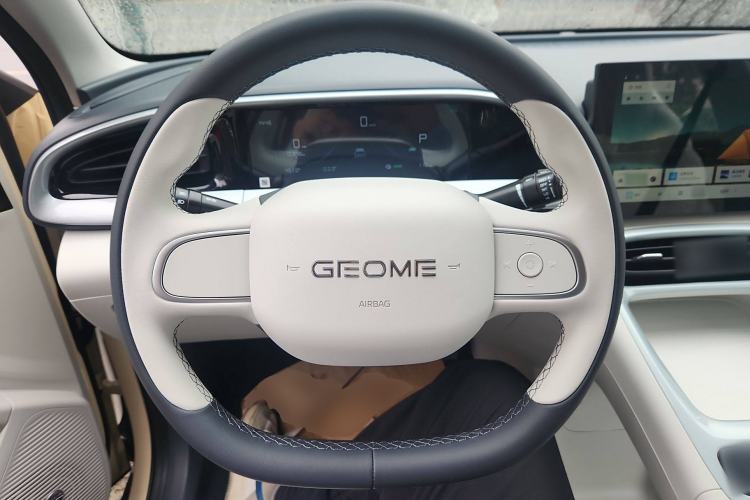 Used Geely Galaxy Geome 2025 310km Youth Edition