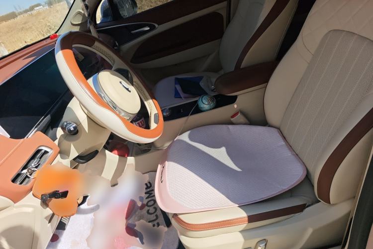 Used ORA Good Cat 2022 400km Standard Range Premium Version Lithium-Ion Battery
