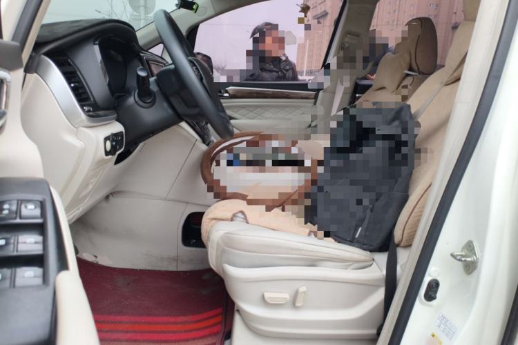 Used GAC Trumpchi M8 2018 320T Luxury Edition Left Front Seat