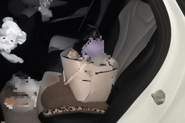 Used BYD Dolphin 2025 Intelligent Driving Version 520km Range Knight Edition