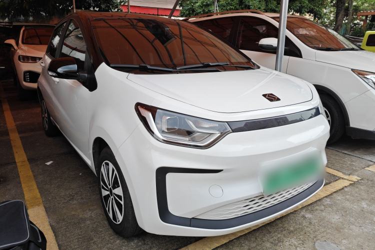 Used SOL E10X 2022 Flower Fairy Design Four-Leaf Clover Front Right 45 Deg