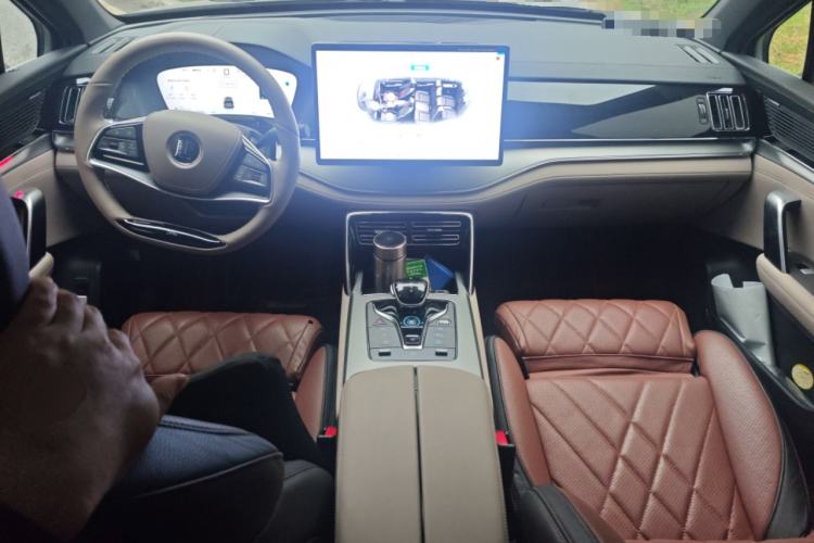 Used BYD Tang New Energy 2025 DM-i 115KM Prestige Model
