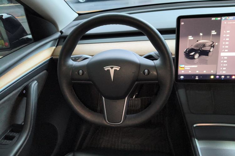 Used Tesla Model Y 2022 Rear-Wheel-Drive Version