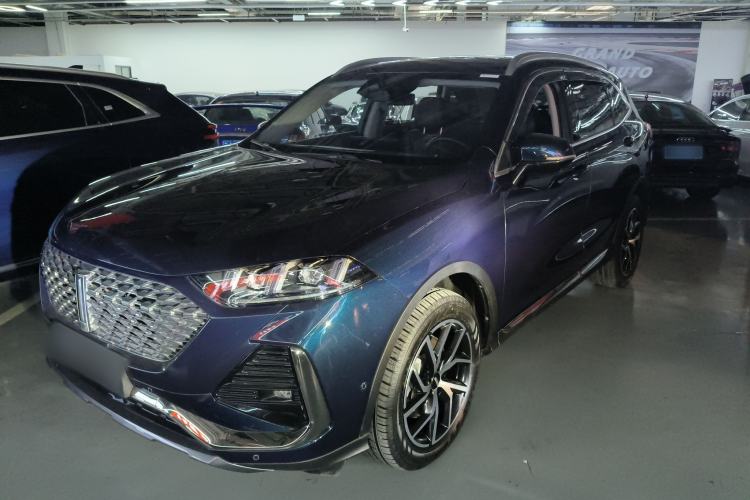 Used Wey Latte DHT-PHEV 2022 1.5T Four-Wheel Drive Extra-Large Version