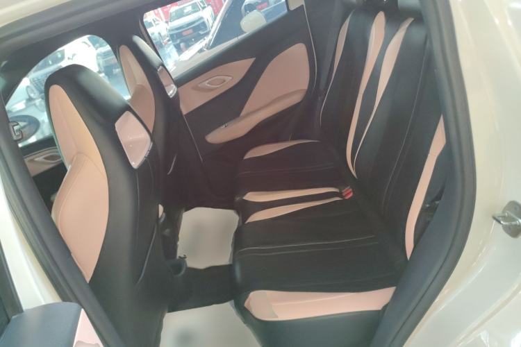 Used BYD Seagull 2023 Free Edition Left Rear Seat