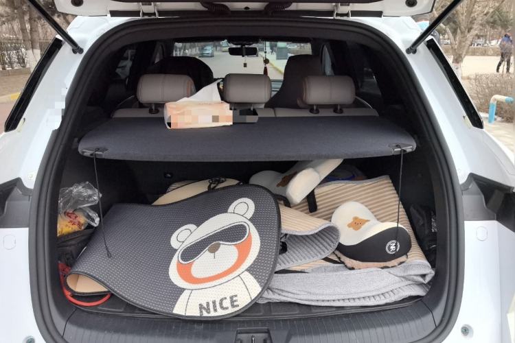 Used BYD Song Pro New Energy 2024 HONOR Edition DM-i 71KM Navigation Model
