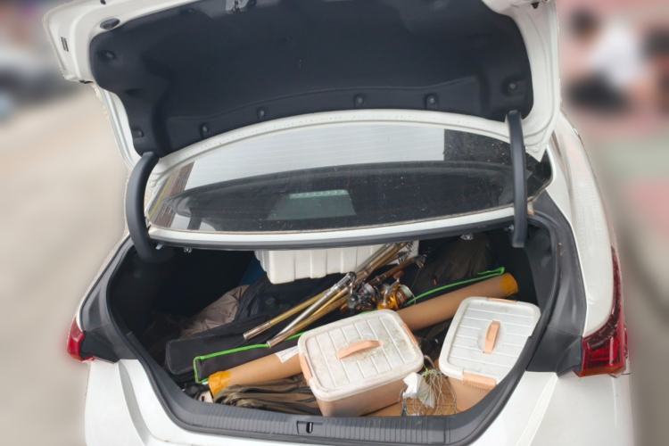 Used Toyota Avalon 2024 2.0L Luxury Edition