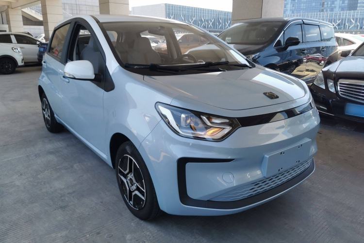 Used SOL E10X 2022 Flower Fairy Design Four-Leaf Clover