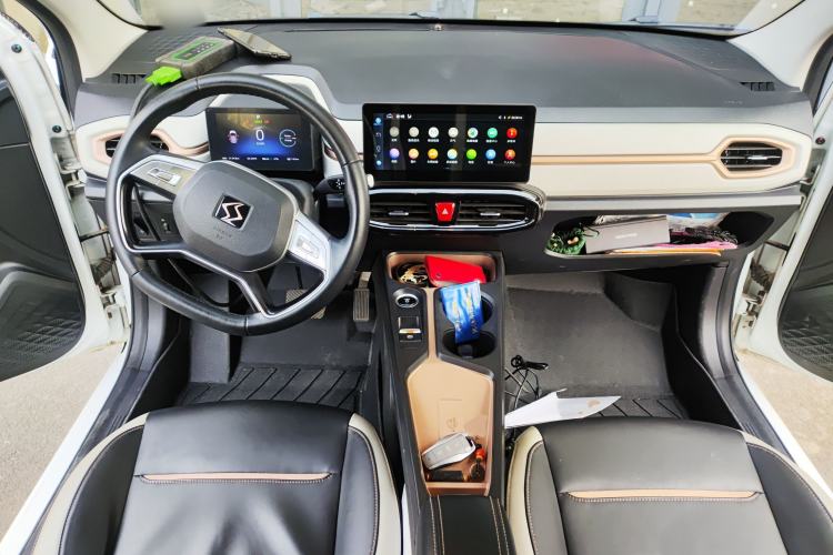 Used SOL E10X 2022 Flower Fairy Style Baby's Breath