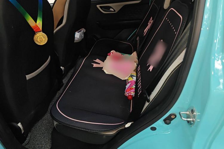 Used SOL E10X 2021 302 km Range Luxury Version 31.4 kWh
