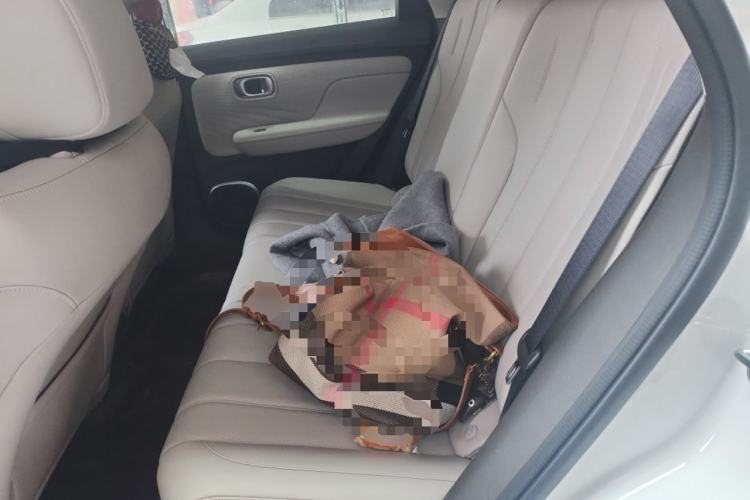 Used AION UT 2025 420 Smart Edition Left Rear Seat