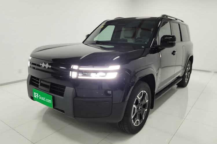 Used Formula Leopard Tai 7 2025 Model 200 km Two-Wheel Drive Max Edition