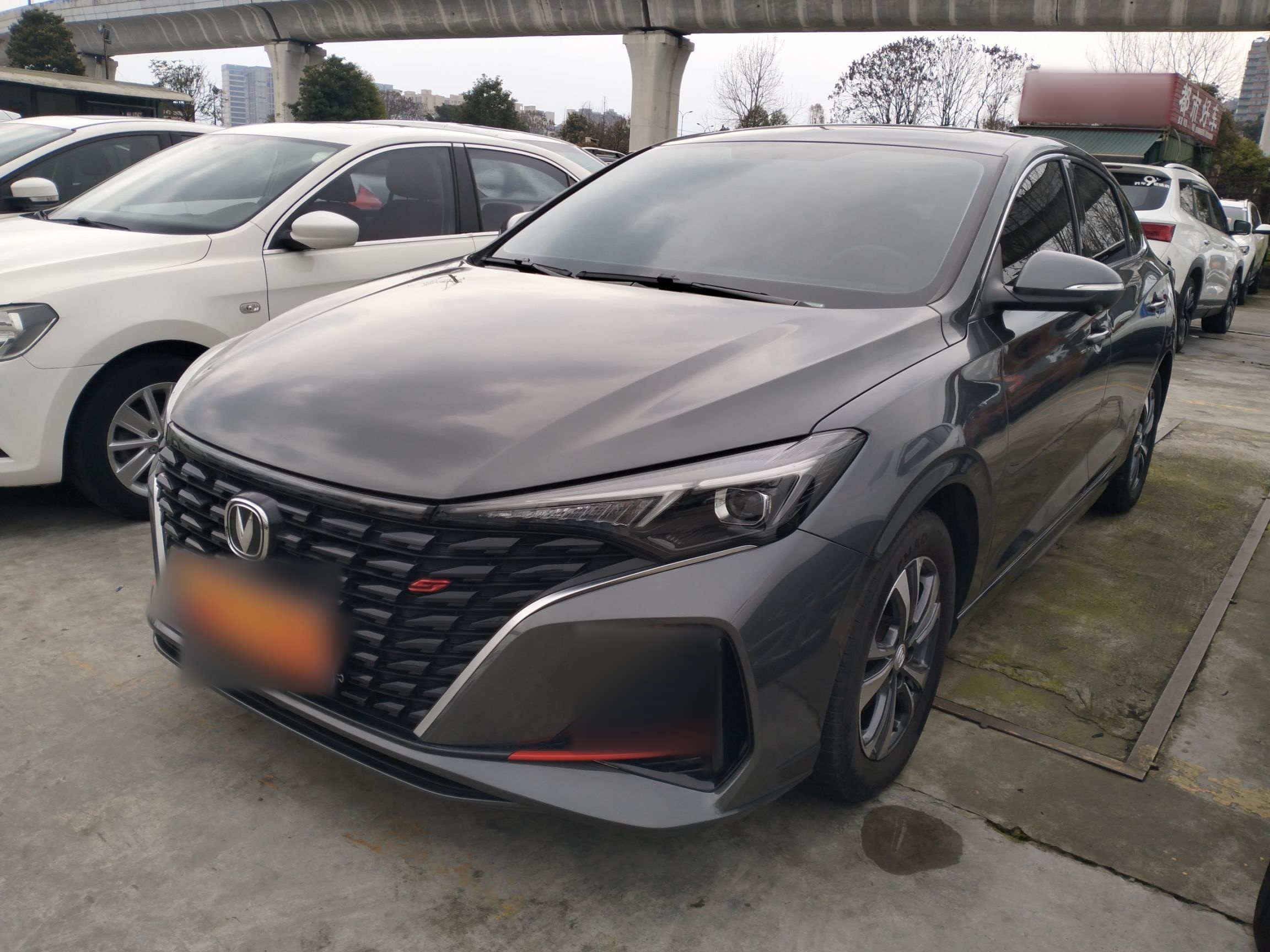 Parte inferior delantera