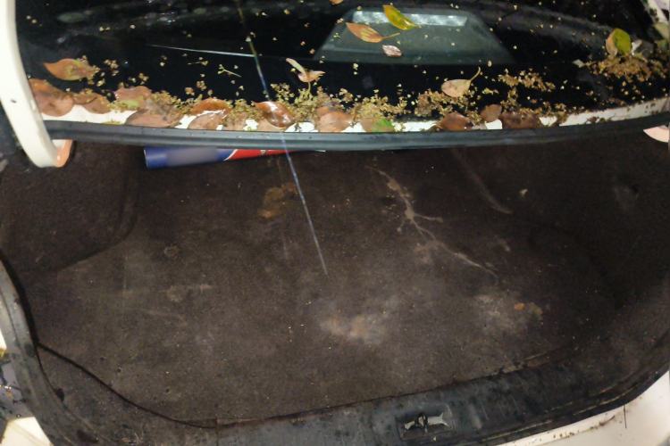 Used Nissan Sylphy 2020 1.6L XL CVT Enjoyment Edition Trunk