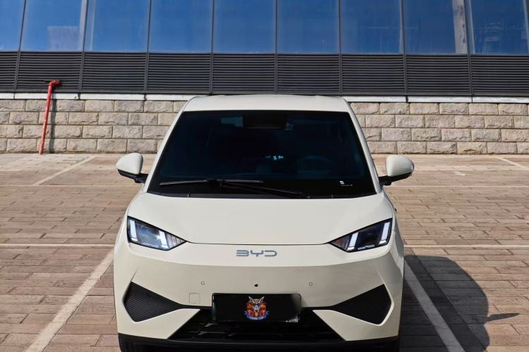 Used BYD Seagull 2025 Smart Drive Version 305 km Freedom Edition
