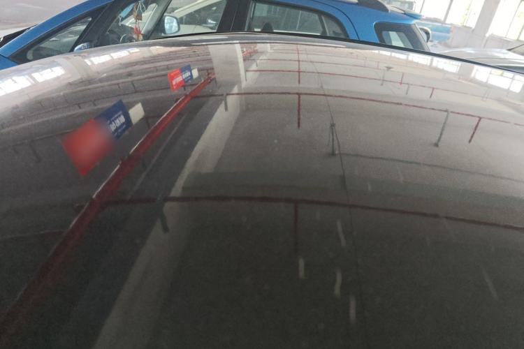 Used SOL E10X 2022 Flower Fairy Style Baby's Breath