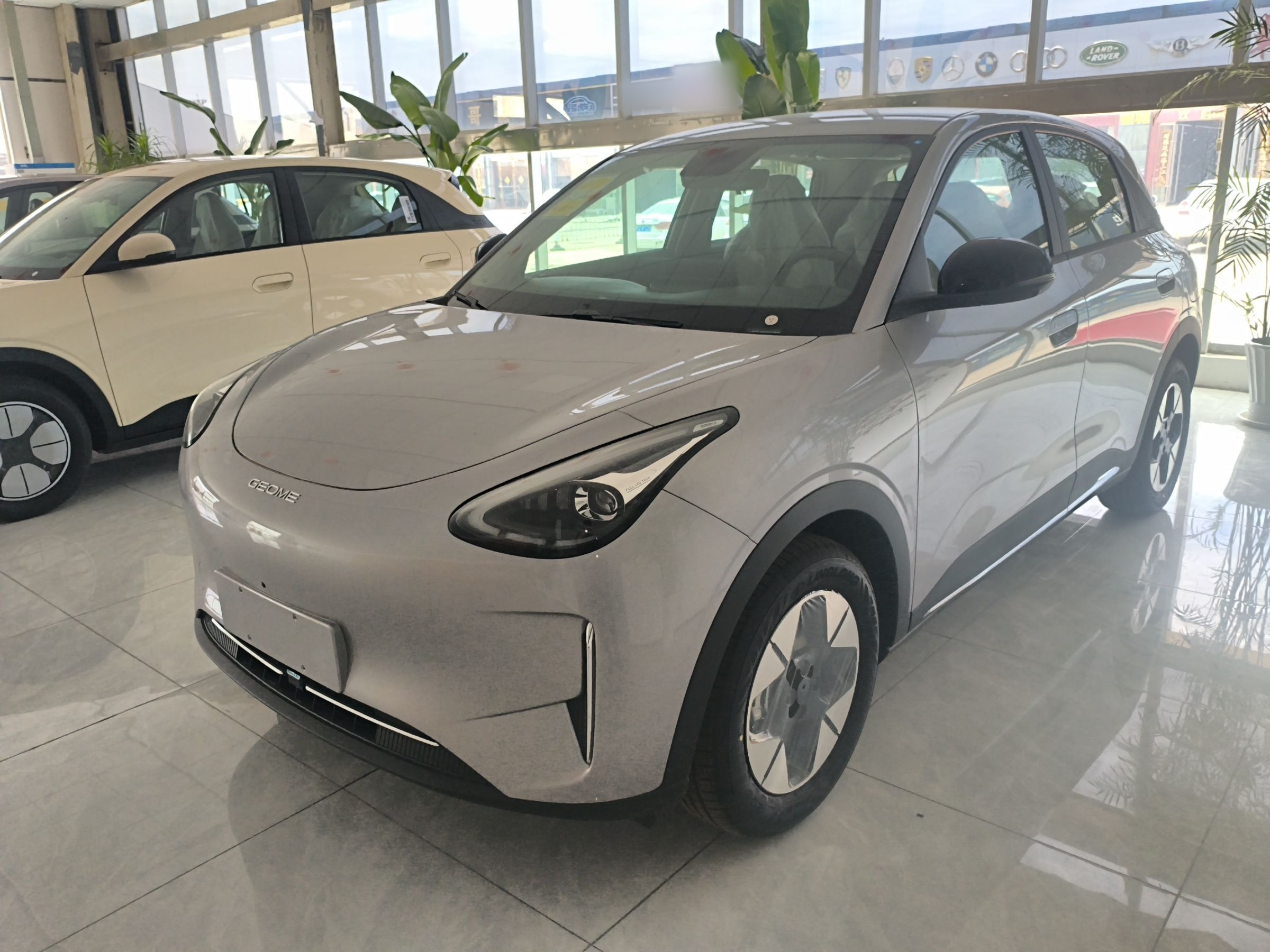 Parte inferior delantera