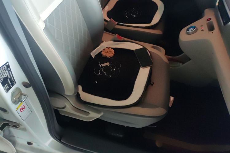 Used ORA White Cat 2020 401 km Long-Range Version
