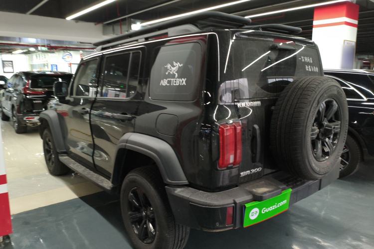 Used Tank 300 2025 2.0T Conqueror