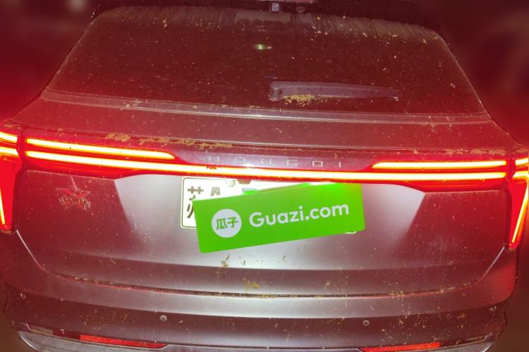 Used Hongqi E-HS9 2022 660 km Range Flagway Edition Six Seats
