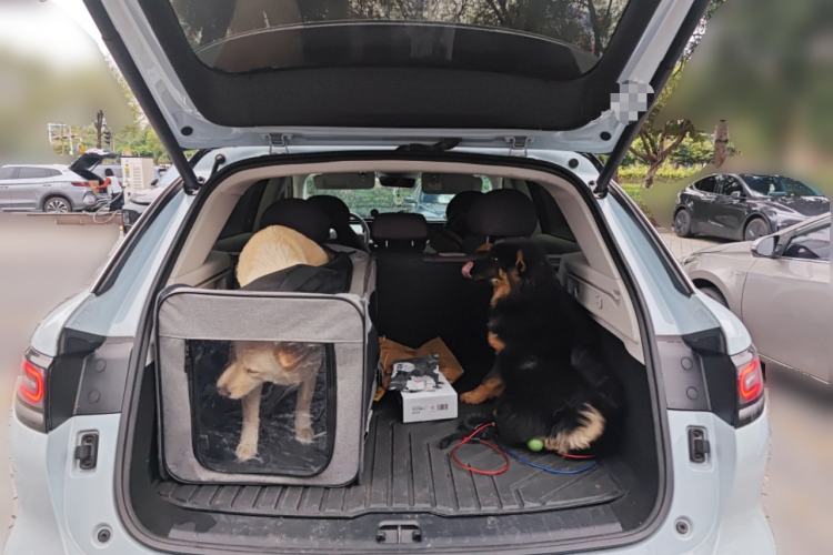 Used Leapmotor C11 2024 All-Electric 580 Luxury Edition