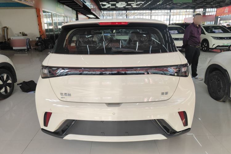 Used BYD Dolphin 2025 420km Free Edition