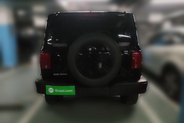 Used Tank 300 2024 2.0T Crosser
