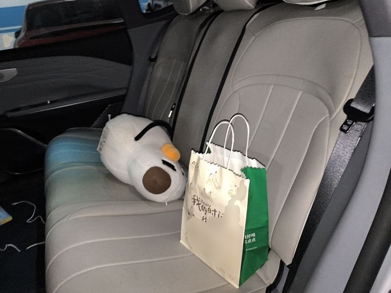 Geely Galaxy E8 2024 550 km Range Rear-Drive MAX — снимка 14