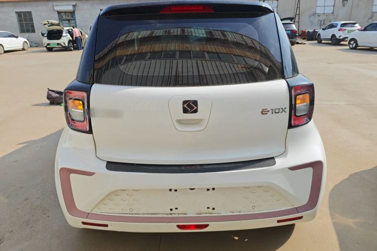 Used SOL E10X 2022 Flower Fairy Design Sunflower