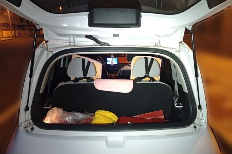 Used ORA White Cat 2020 305 km Luxury Version
