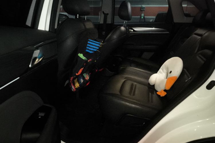 Used GAC Trumpchi GS4 PLUS 2021 390T Automatic Starry Edition Left Rear Seat