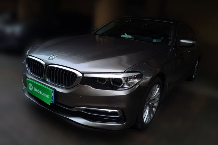 Used BMW 5 Series 2019 530Li Leading Model Luxury Package