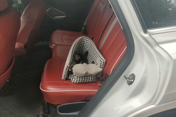 Used Audi Q3 2019 35 TFSI Advanced Dynamic Edition Left Rear Seat