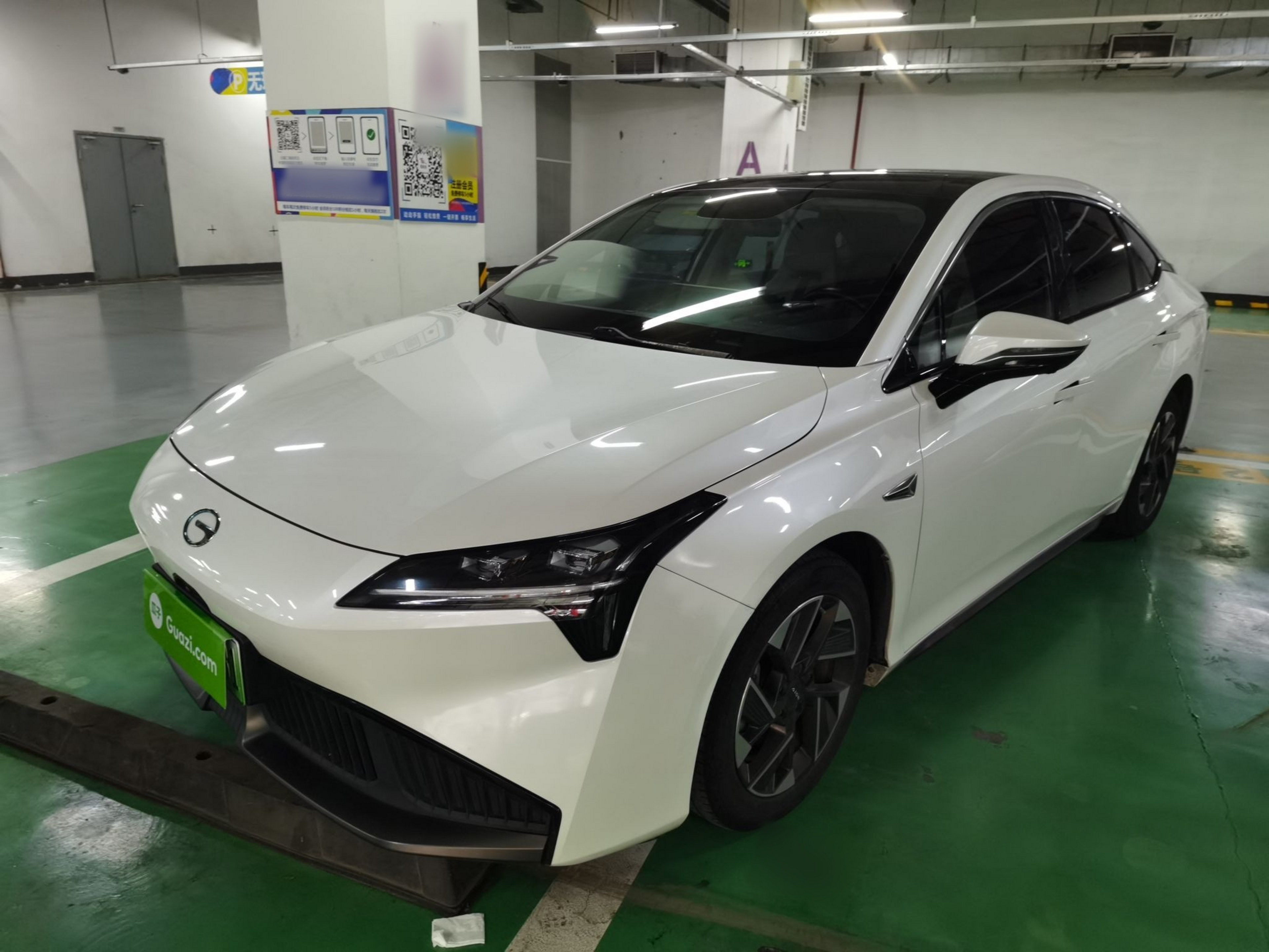 Under Front Bumper