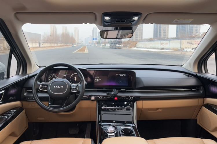 Used Kia Carnival 2021 2.0T Flagship Edition