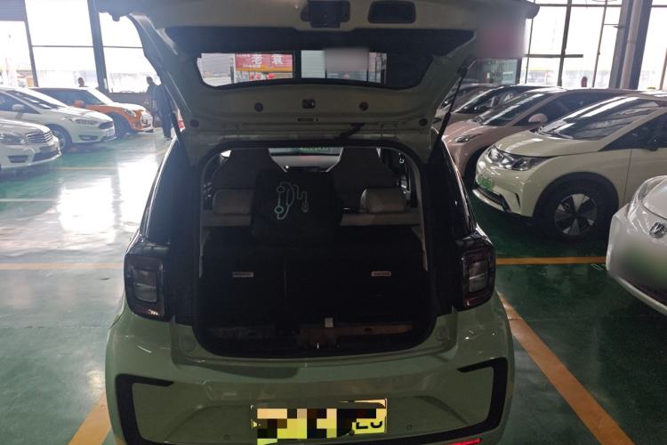 Used SOL E10X 2022 Flower Fairy Design Four-Leaf Clover Trunk