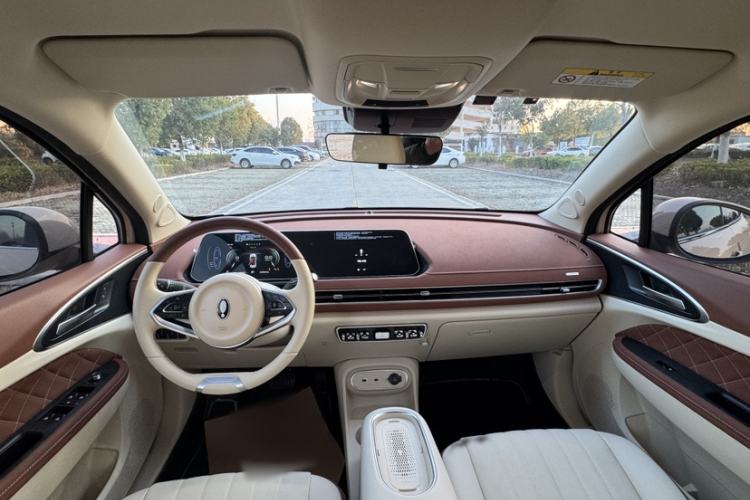 Used ORA Good Cat 2023 401 km Standard Range Luxury Version Lithium Iron Phosphate
