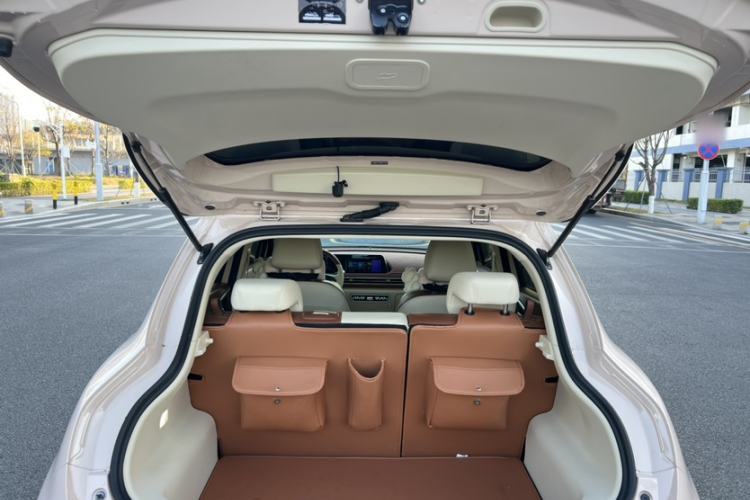 Used ORA Good Cat 2023 401 km Standard Range Luxury Version Lithium Iron Phosphate
