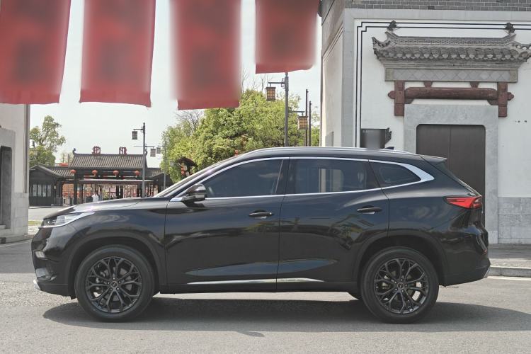 Used EXEED TX 2020 1.6T Two-Wheel Drive Star Edition
