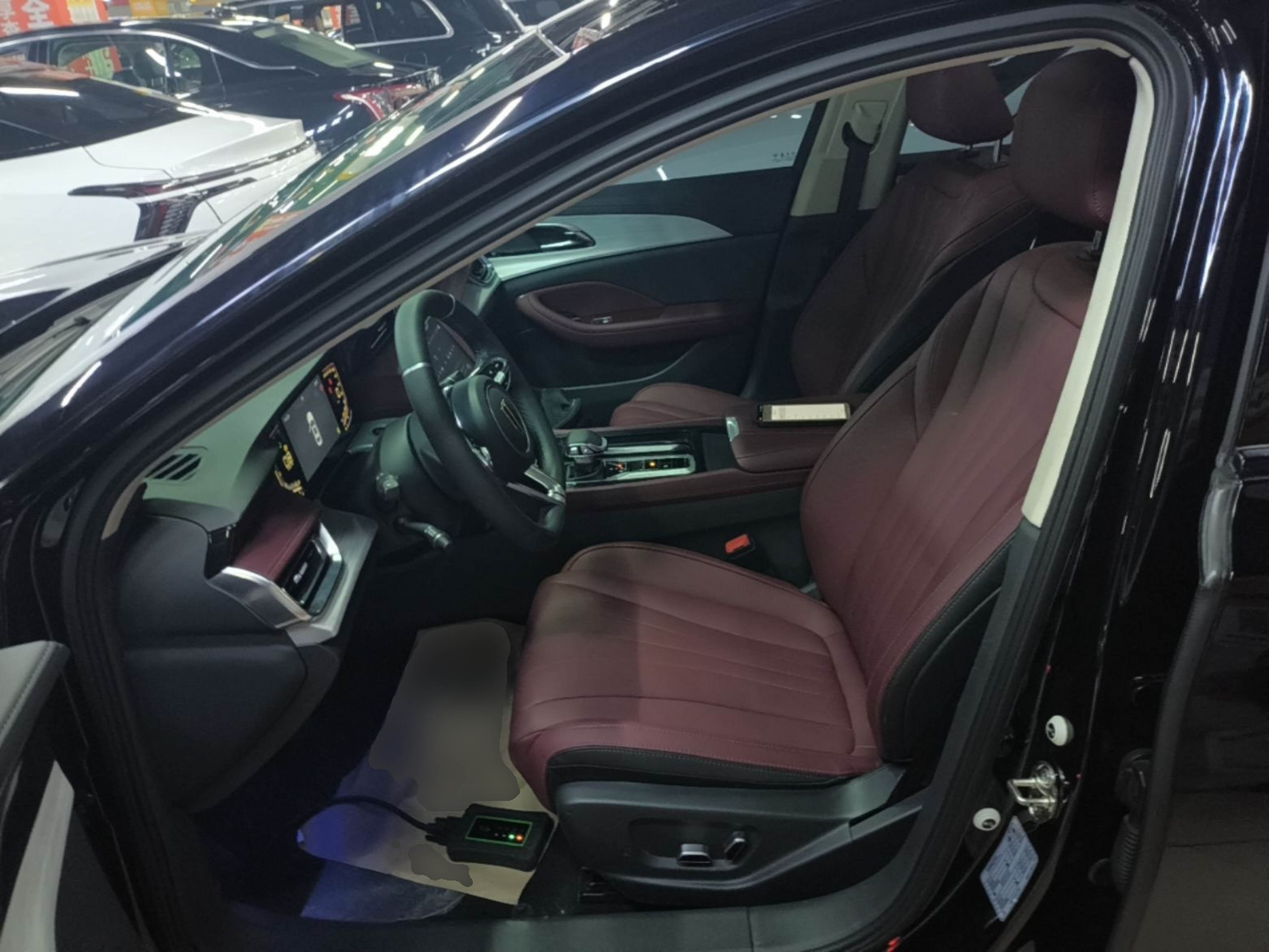 Interior delantero