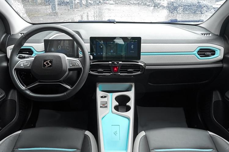 Used SOL E10X 2022 Flower Fairy Style Baby's Breath