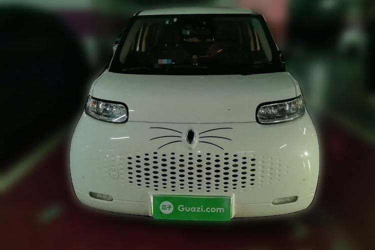 Used ORA White Cat 2020 401 km Flagship Version Front