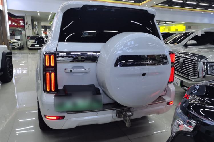 Used Tank 500 New Energy 2023 Hi4-T Rear