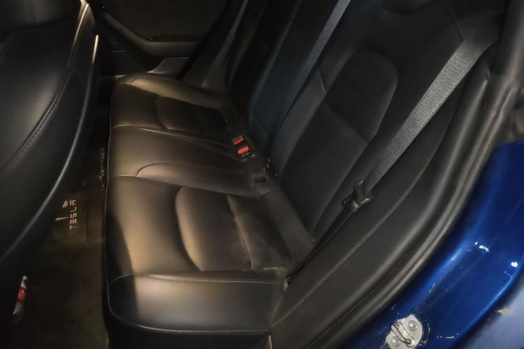 Used Tesla Model 3 2020 Revised Version Standard Range Rear-Wheel Drive – Upgraded Edition Left Rear Seat