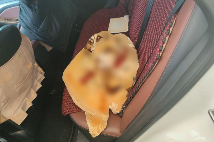 Used BYD G5 2014 1.5TID Automatic Flagship Model