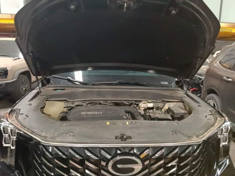 Used GAC Trumpchi GS8 2024 Linghang Series 2.0 TGDI Two-Wheel Drive Luxury Smart Connectivity Version — 19