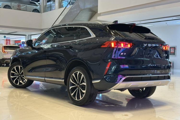 Used Wey Mocha 2021 2.0T Two-Wheel-Drive Premium Edition
